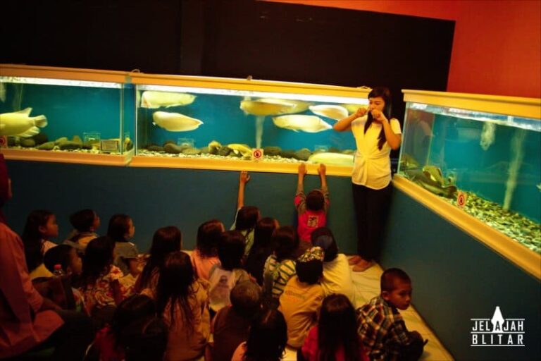 Belajar Ikan di Fish Garden Blitar