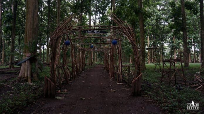 Jati Park, Wisata Hutan Jati di Doko Blitar Jelajah Blitar
