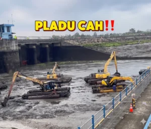 Ilustrasi Pladu oleh AI